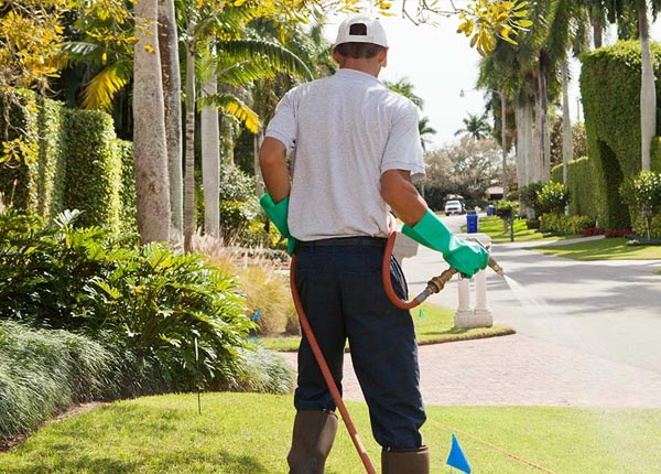 About Goldsboro TX Pest Control